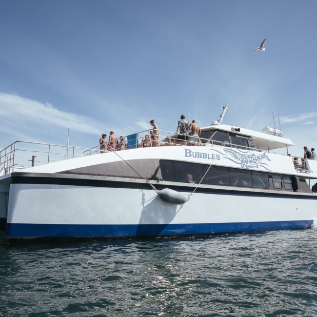 A boat named "Bubbles" is anchored in the water with people on its upper deck, enjoying a Corporate boat event Sydney. The sky is clear with a few seagulls flying nearby.