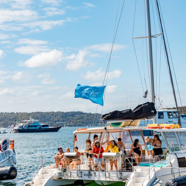 A vibrant scene of several sailboats and motorboats on a sunny day. One yacht from The Yacht Social Club Sydney Boat Hire prominently features a group of people relaxing and enjoying the weather. A light blue flag flutters atop the boat, with more boats and a green, tree-covered shoreline in the background.