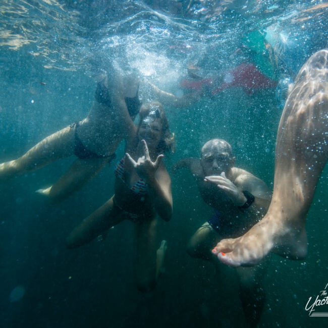 A group of people swim underwater, making hand signs and smiling at the camera. They're surrounded by clear blue water with light reflections. The photo features "The Yacht Social Club" logo in the bottom right corner, capturing the essence of a memorable Luxury Yacht Rentals Sydney experience.