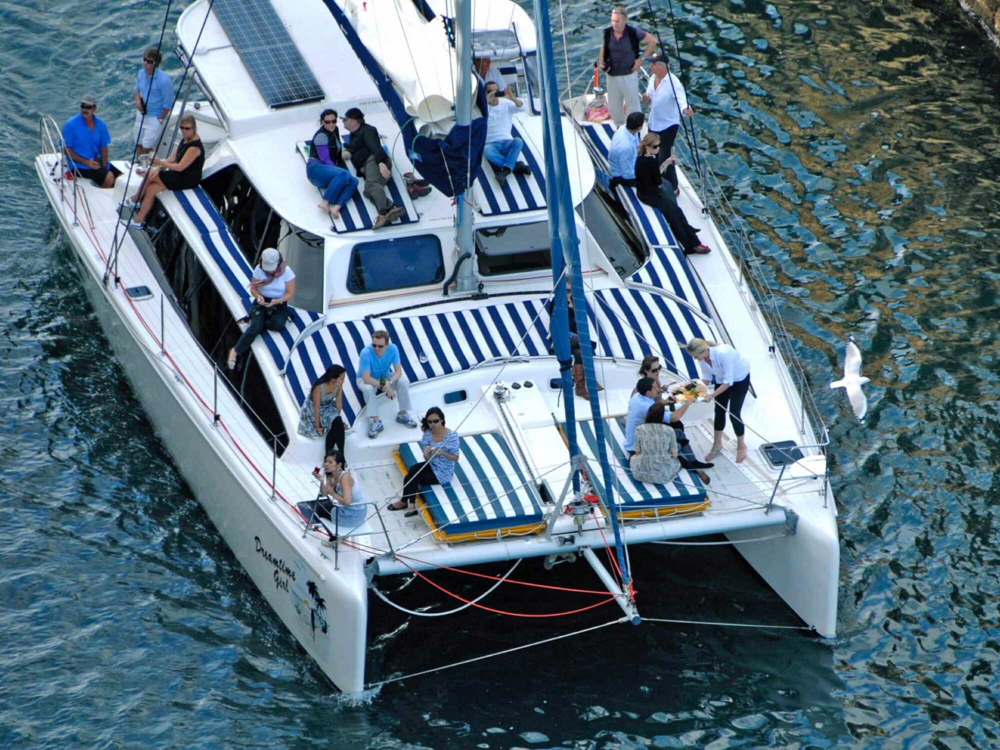 Aerial view of a catamaran with people on board, some sitting on blue-and-white striped cushions, others standing. The boat is on calm water with a seagull flying nearby. The scene at The Yacht Social Club Sydney Boat Hire appears relaxed and lively.