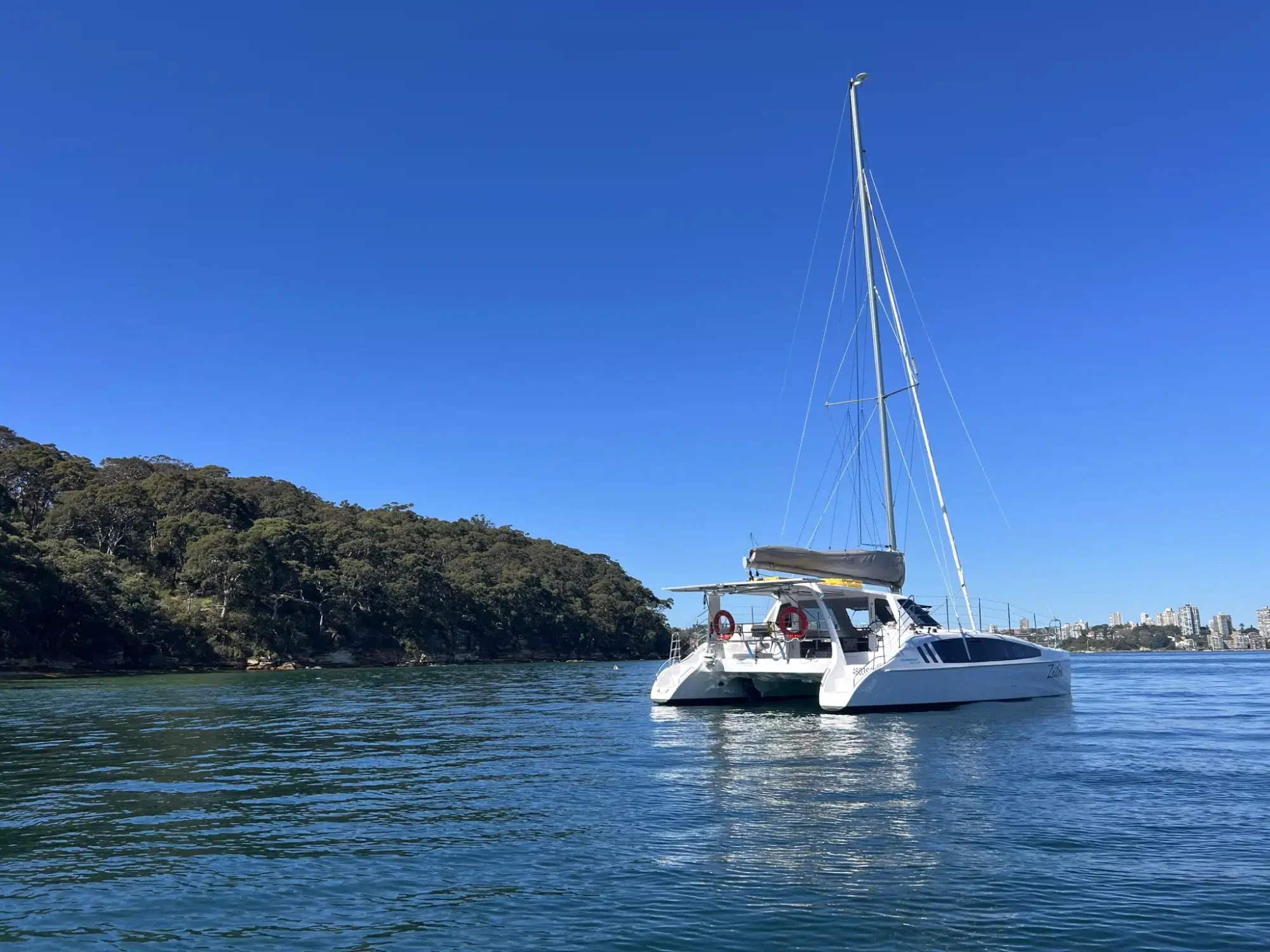 A white catamaran with tall masts floats on calm blue water near a forested shoreline under a clear sky, embodying the elegance of Luxury Yacht Rentals Sydney. The background features a distant cityscape, perfect for an exclusive event by The Yacht Social Club.