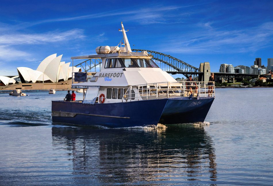 A boat named "Barefoot Blue," owned by The Yacht Social Club, cruises through Sydney Harbor. The iconic Sydney Opera House and Sydney Harbour Bridge loom in the background beneath a bright blue sky. The water mirrors the boat and its surroundings, creating a picturesque scene ideal for Boat Parties in Sydney.