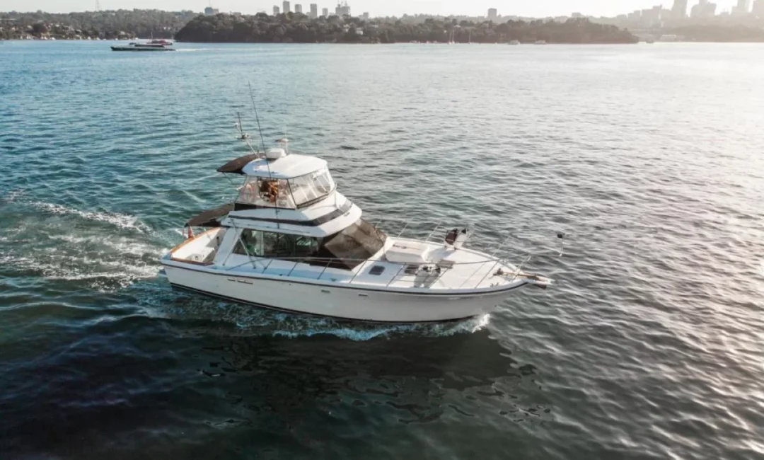 A white yacht with multiple decks sails on a calm waterbody, with a distant shoreline and cityscape visible in the background under a clear sky. The Yacht Social Club's luxury yacht rentals in Sydney offer events and boat charters, making it perfect for Boat Parties. The water reflects the sunlight as few other boats are seen far away.