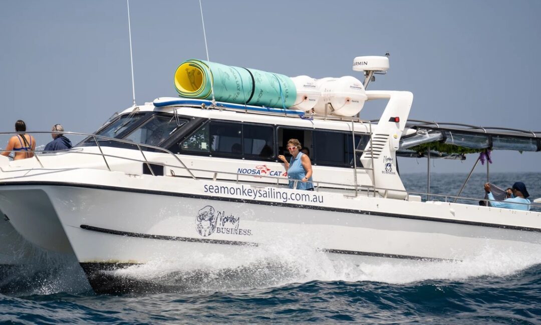 A white motorboat named "Noosa Cat" with "seamonkeysailing.com" written on the side cruises through the water. There are people onboard, and a bright green item is secured on the roof. The background shows an open sea under a clear sky, perfect for The Yacht Social Club Sydney Boat Hire.