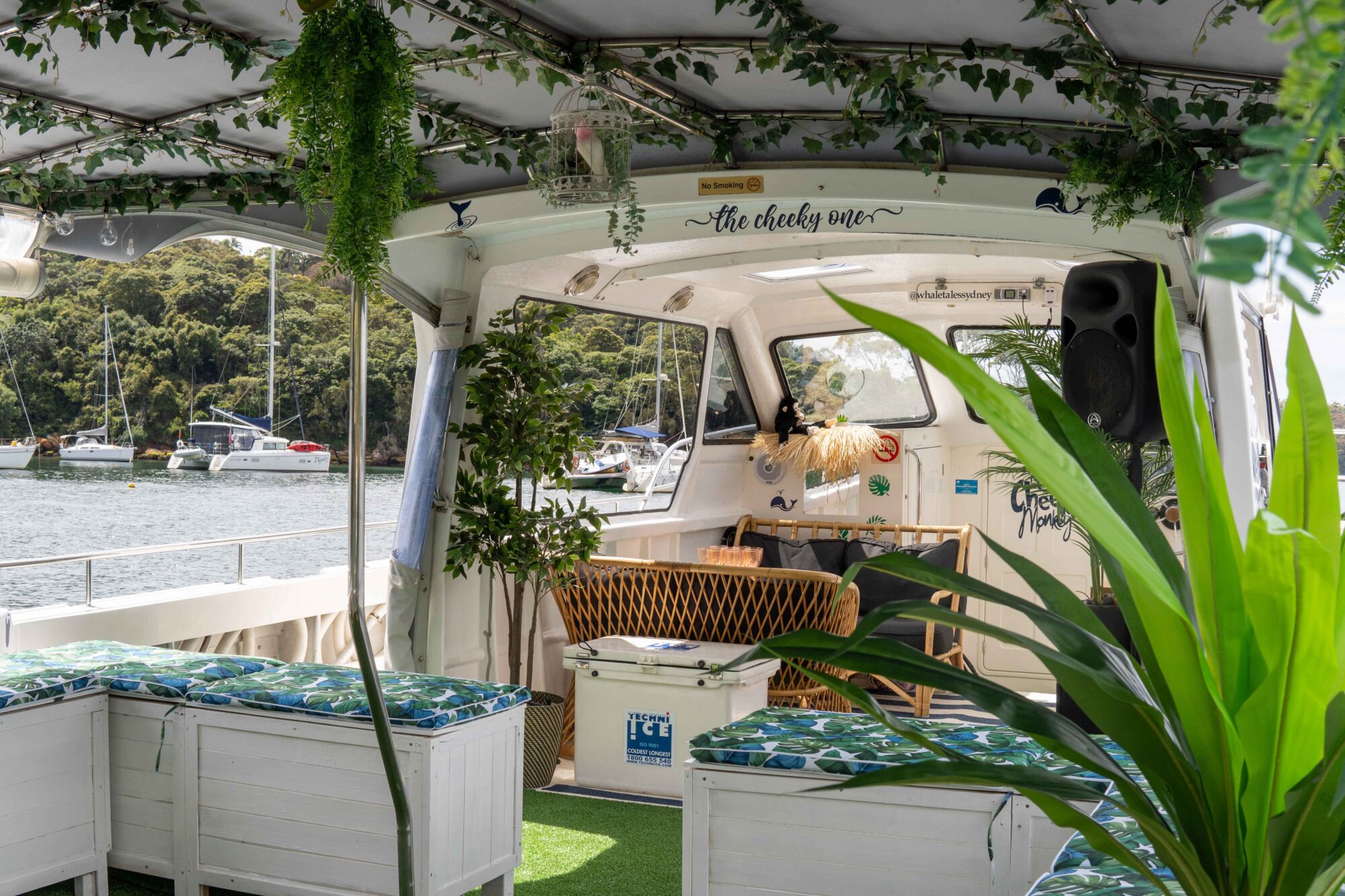 A cozy, rustic boat interior adorned with green plants and foliage. The seating area features blue and white cushioned benches and white wooden chests. Docked near a peaceful harbor, with trees and sailboats in the background, it's perfect for The Yacht Social Club Event Boat Charters.