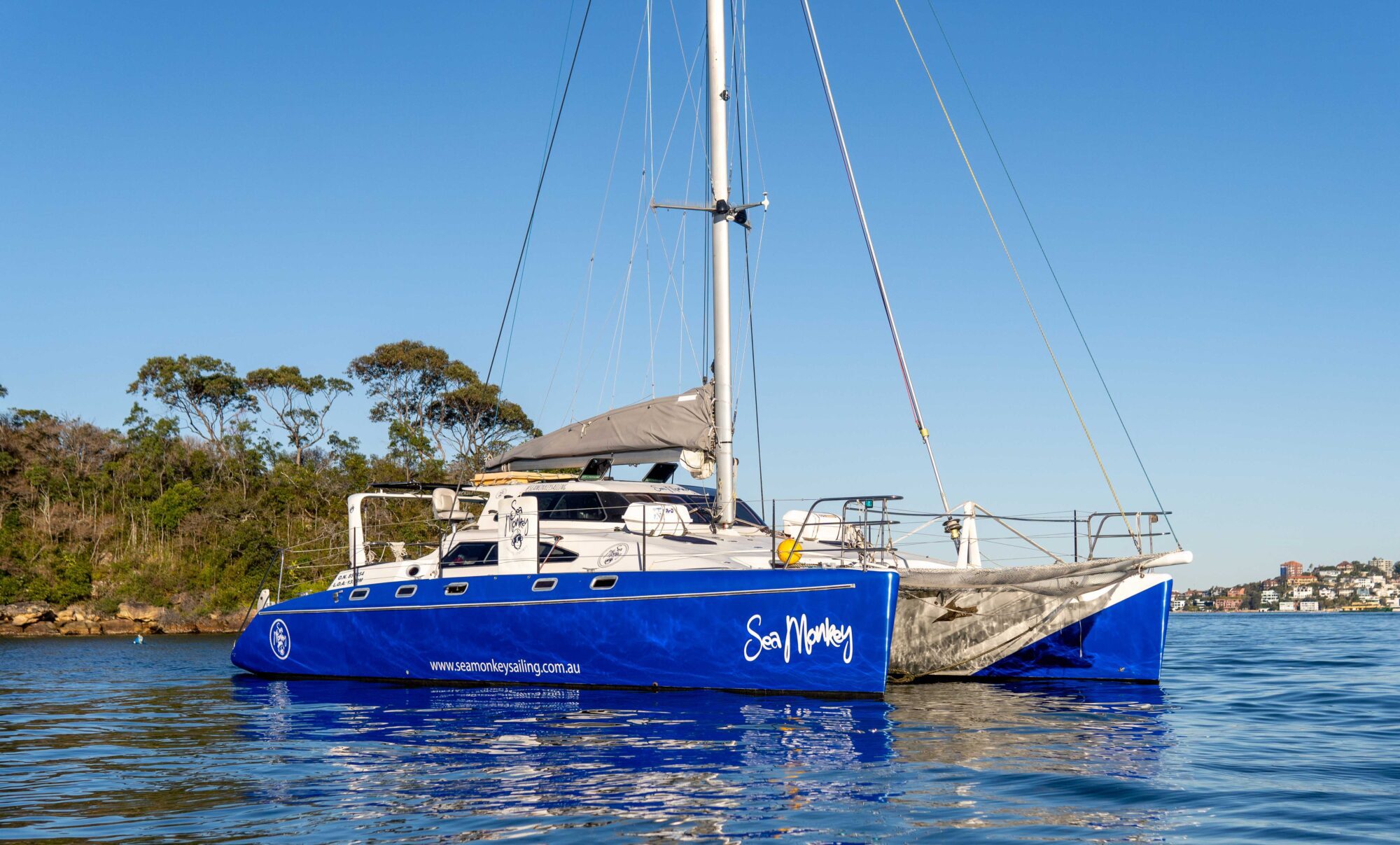 A blue catamaran named "Sea Monkey" is anchored on calm waters near a forested shoreline. In the background, scattered buildings hint at a nearby town. The sky is clear, suggesting a bright, sunny day perfect for Boat Parties Sydney The Yacht Social Club offers.