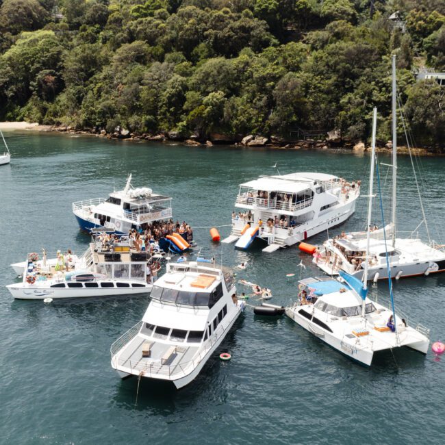 A drone view of several boats anchored close together in a bay surrounded by lush greenery. People are on the boats and in the water, enjoying a sunny day. A small beach is visible in the background.