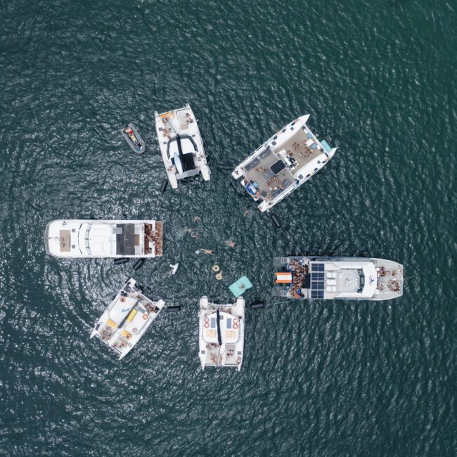 Aerial view of several boats gathered in a circle on a dark blue body of water. People are seen swimming and floating on inflatables in the center. The pattern creates a peaceful and social atmosphere on the water.