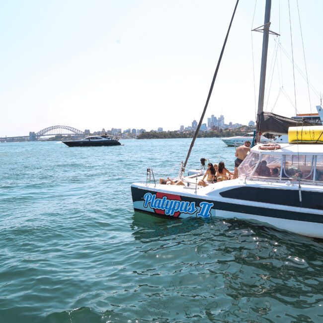 A catamaran named "Platypus II" with people onboard is sailing in a sunny harbor. The city skyline and a bridge are visible in the background, along with several other boats on the water.