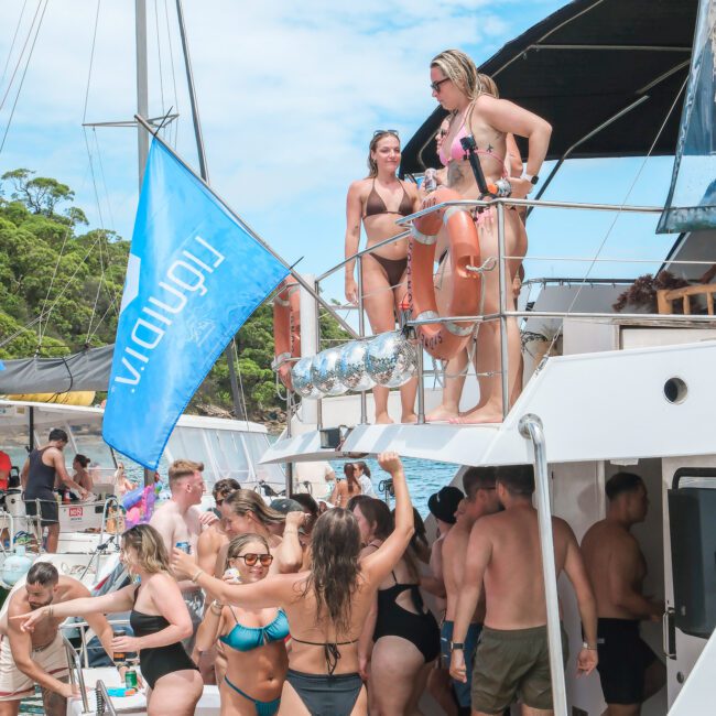 A group of people in swimwear enjoys a lively party on a boat. Some are dancing and socializing on the upper and lower decks. A blue flag with white text is displayed. The scene is set against a backdrop of trees and a blue sky.