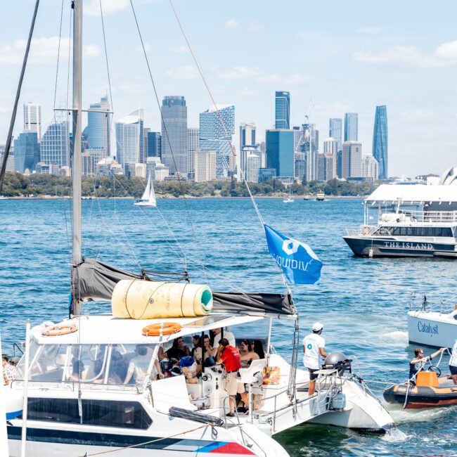 A group of people are gathered on a sailboat with a "Liquidnv" flag, enjoying a sunny day on the water. The city skyline is visible in the background, with various buildings and another sailboat on the horizon.