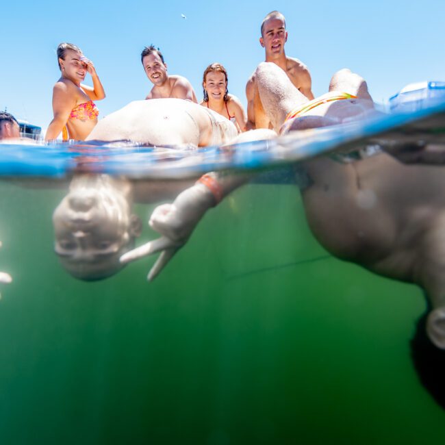 A group of five people enjoy a sunny day on a boat. Four are smiling above water, and one swims underwater making a peace sign. The scene is split between air and water, with a boat in the background.