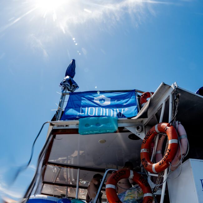 A boat on a sunny day, featuring bright lifebuoys and a blue banner. The sun shines brightly in the sky, creating a vibrant summer atmosphere.