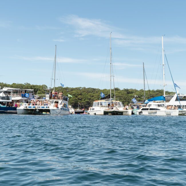 Several boats are anchored close together on a calm body of water, with lush green trees in the background under a clear blue sky. People can be seen on the boats, suggesting a leisurely gathering or event.