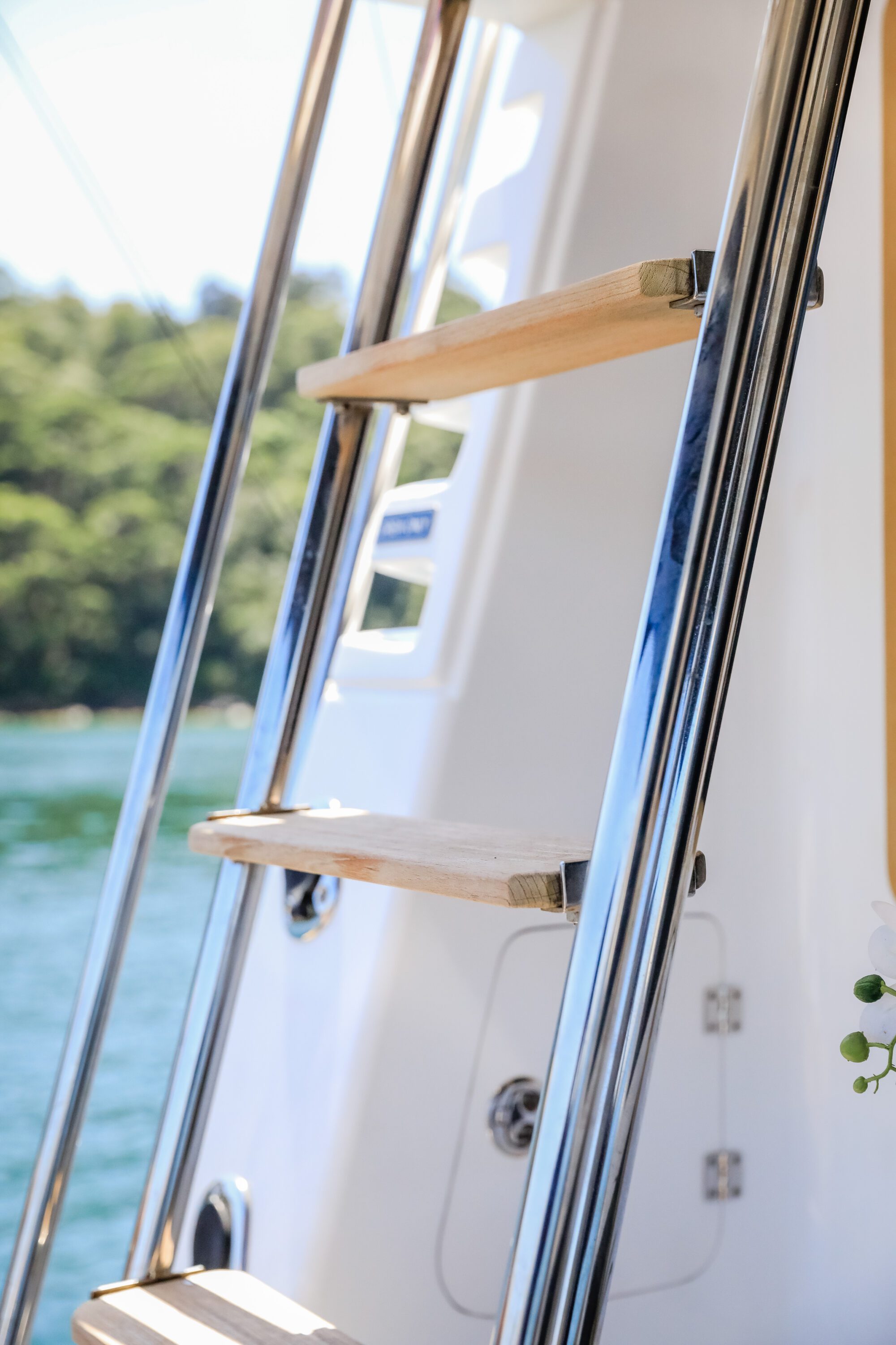 A close-up of a wooden and metal ladder on a boat, with blurred green trees and water visible in the background.