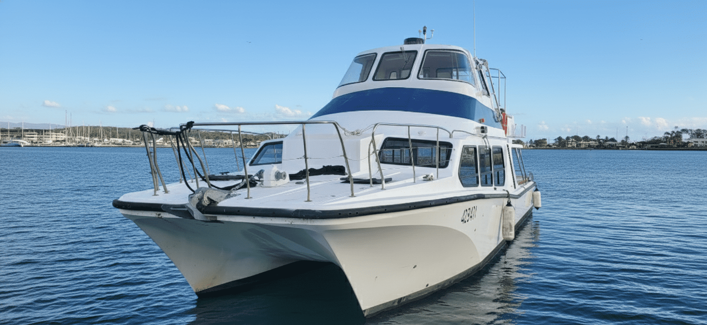 A white catamaran boat with blue accents floats on calm water near a marina, with a clear blue sky and distant shoreline in the background.