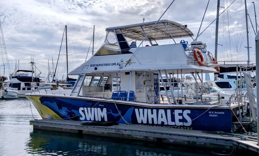 A docked boat named Arcadia, with whale graphics and “SWIM WHALES” painted on its side, is moored at a marina among other boats under a partly cloudy sky.